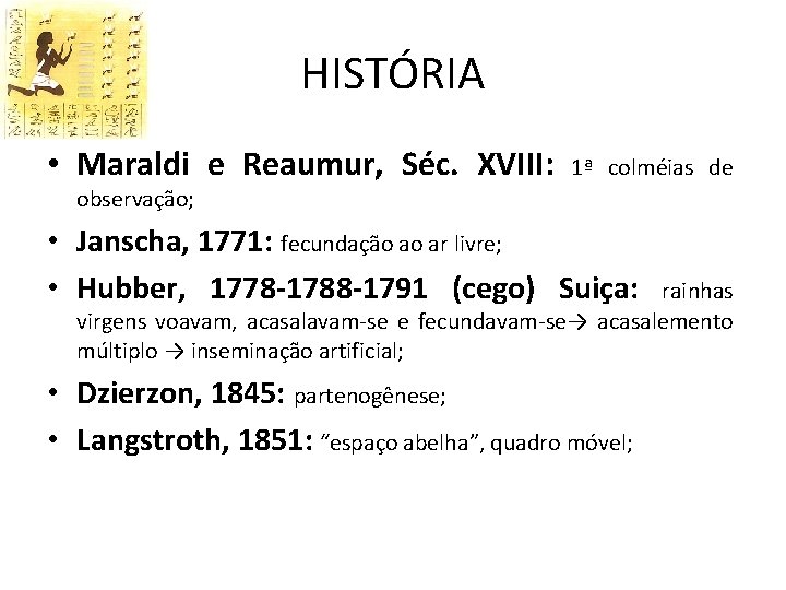 HISTÓRIA • Maraldi e Reaumur, Séc. XVIII: 1ª colméias de observação; • Janscha, 1771: