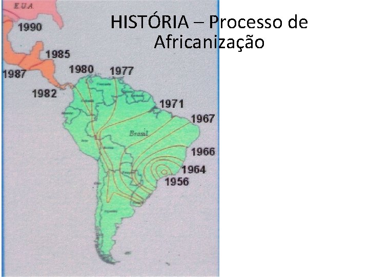 HISTÓRIA – Processo de Africanização 