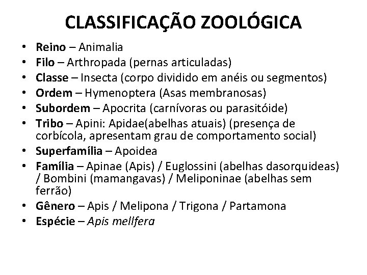 CLASSIFICAÇÃO ZOOLÓGICA • • • Reino – Animalia Filo – Arthropada (pernas articuladas) Classe