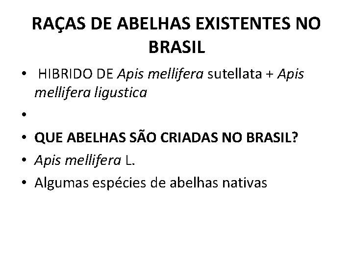 RAÇAS DE ABELHAS EXISTENTES NO BRASIL • HIBRIDO DE Apis mellifera sutellata + Apis