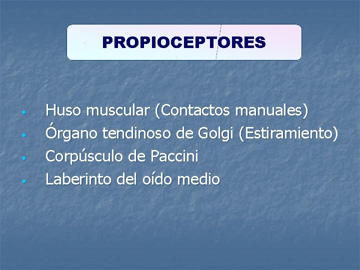 PROPIOCEPTORES • • Huso muscular (Contactos manuales) Órgano tendinoso de Golgi (Estiramiento) Corpúsculo de