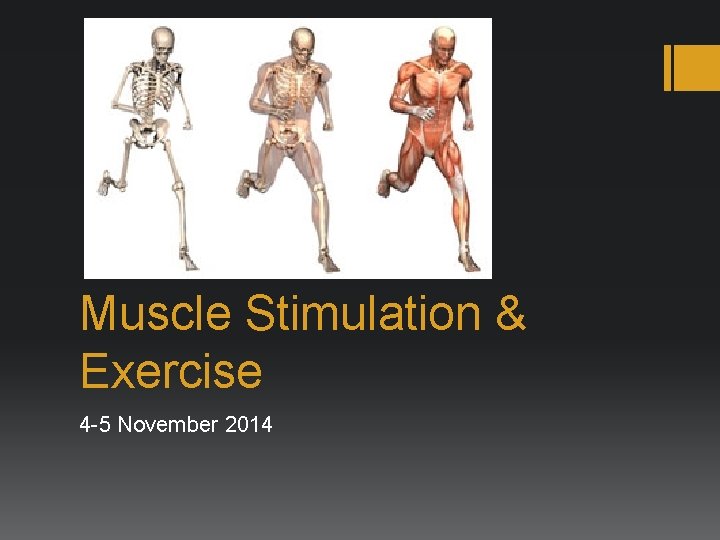 Muscle Stimulation & Exercise 4 -5 November 2014 