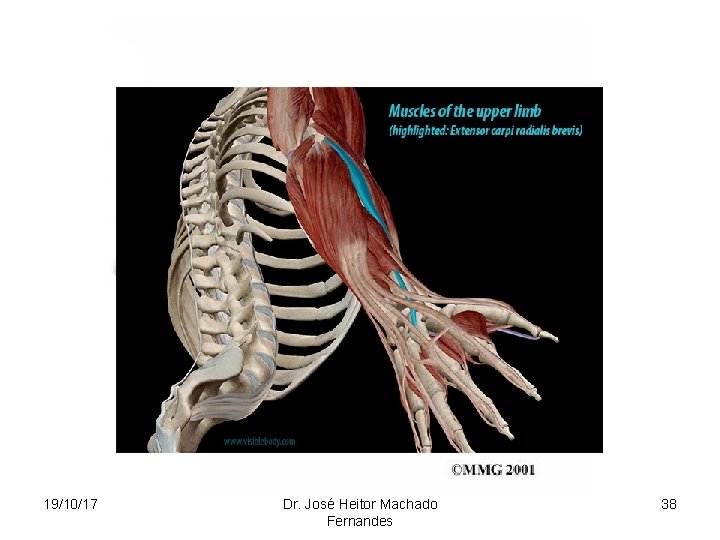 19/10/17 Dr. José Heitor Machado Fernandes 38 