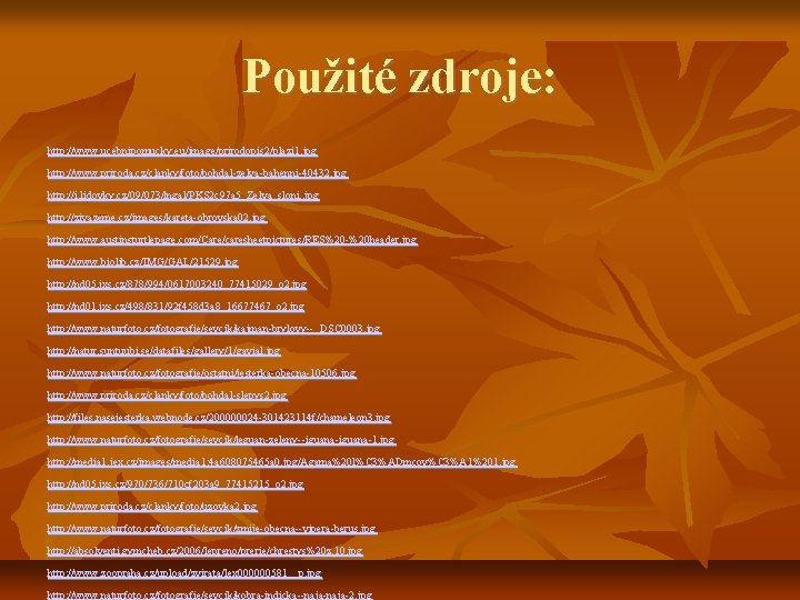 Použité zdroje: http: //www. ucebnipomucky. eu/image/prirodopis 2/plazi 1. jpg http: //www. priroda. cz/clanky/foto/bohdal-zelva-bahenni-40432. jpg