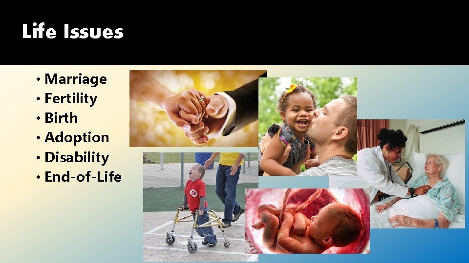 Life Issues • Marriage • Fertility • Birth • Adoption • Disability • End-of-Life