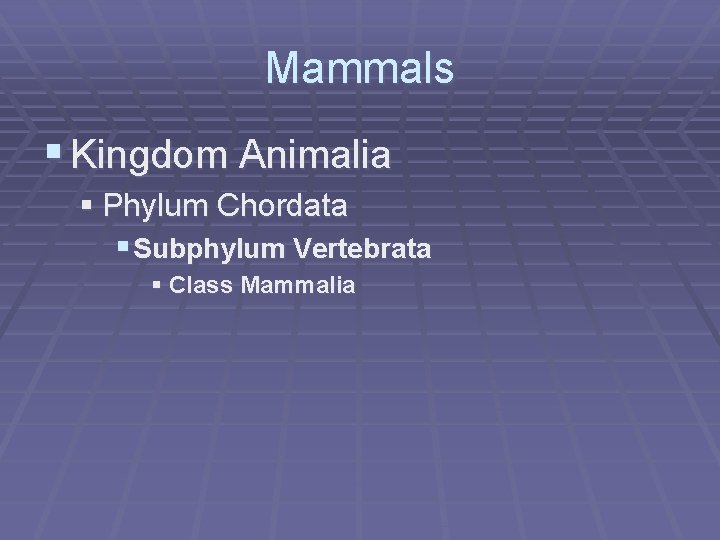 Mammals § Kingdom Animalia § Phylum Chordata § Subphylum Vertebrata § Class Mammalia 