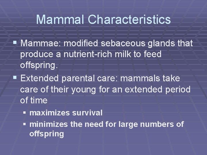 Mammal Characteristics § Mammae: modified sebaceous glands that produce a nutrient-rich milk to feed