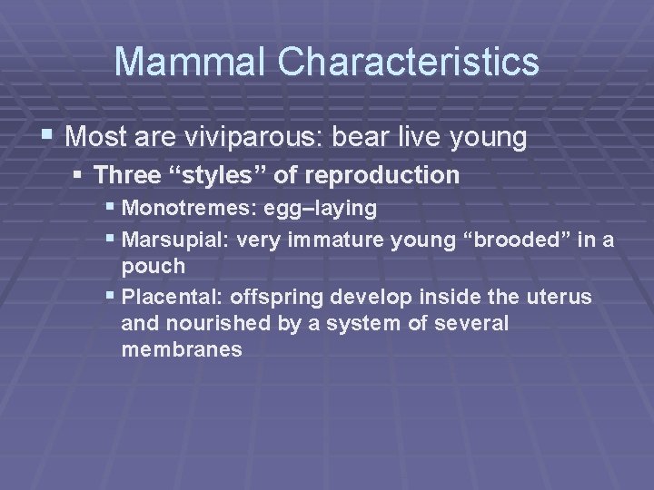 Mammal Characteristics § Most are viviparous: bear live young § Three “styles” of reproduction