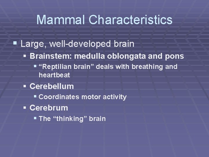 Mammal Characteristics § Large, well-developed brain § Brainstem: medulla oblongata and pons § “Reptilian