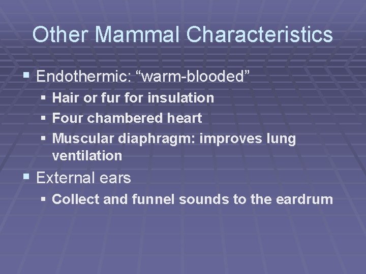 Other Mammal Characteristics § Endothermic: “warm-blooded” § Hair or fur for insulation § Four