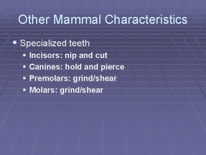 Other Mammal Characteristics § Specialized teeth § Incisors: nip and cut § Canines: hold