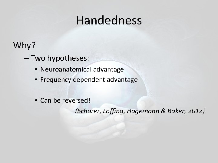 Handedness Why? – Two hypotheses: • Neuroanatomical advantage • Frequency dependent advantage • Can Handedness Why? – Two hypotheses: • Neuroanatomical advantage • Frequency dependent advantage • Can