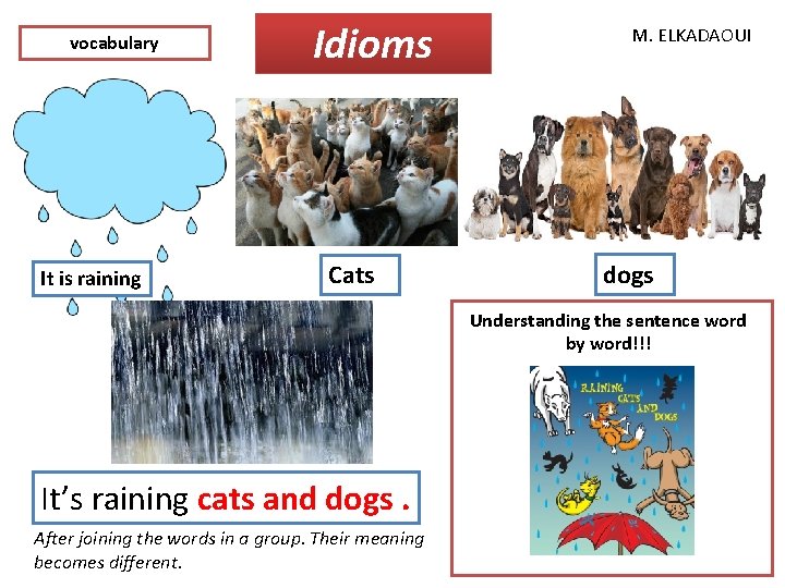 vocabulary It is raining Idioms Cats M. ELKADAOUI dogs Understanding the sentence word by