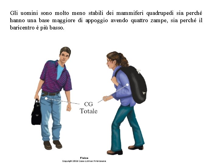 Gli uomini sono molto meno stabili dei mammiferi quadrupedi sia perché hanno una base