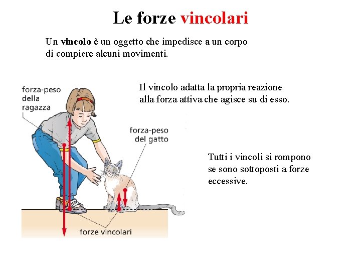 Le forze vincolari Un vincolo è un oggetto che impedisce a un corpo di