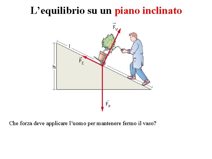 L’equilibrio su un piano inclinato Che forza deve applicare l’uomo per mantenere fermo il