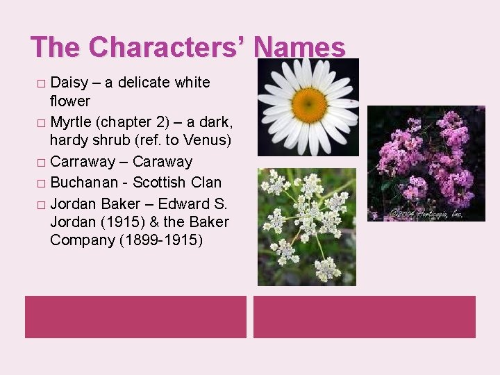The Characters’ Names Daisy – a delicate white flower � Myrtle (chapter 2) –