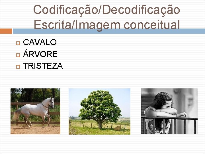 Codificação/Decodificação Escrita/Imagem conceitual CAVALO ÁRVORE TRISTEZA 