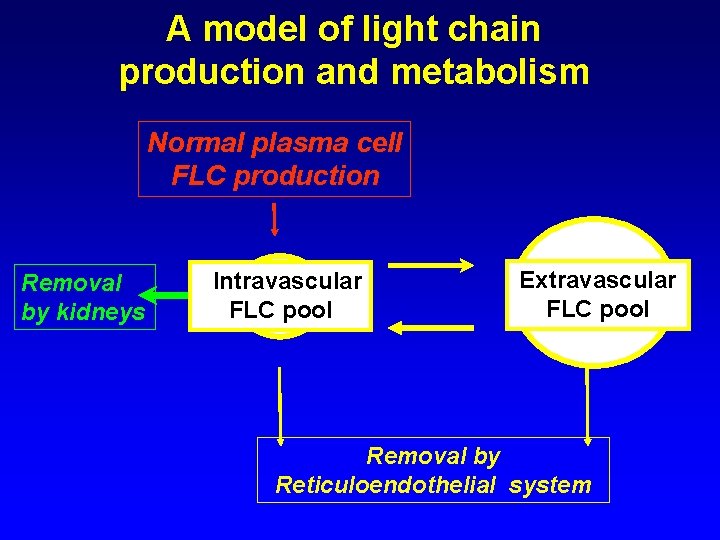 A model of light chain production and metabolism Normal plasma cell FLC production Removal