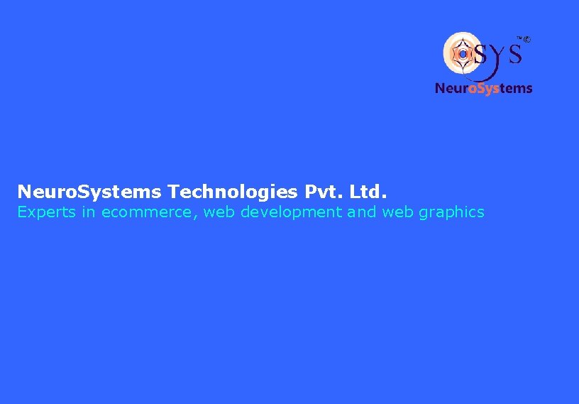 Neuro. Systems Technologies Pvt. Ltd. Experts in ecommerce, web development and web graphics 