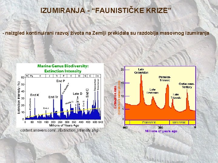 IZUMIRANJA - “FAUNISTIČKE KRIZE” - naizgled kontinuirani razvoj života na Zemlji prekidala su razdoblja