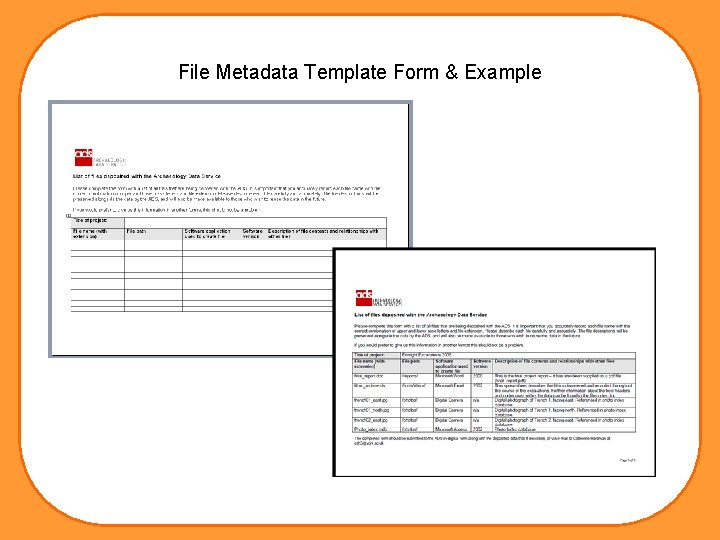 File Metadata Template Form & Example 