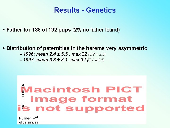 Results - Genetics • Father for 188 of 192 pups (2% no father found)