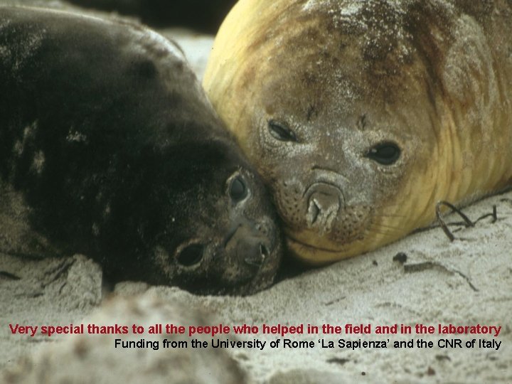 Very special thanks to all the people who helped in the field and in