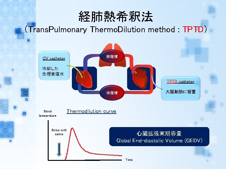 経肺熱希釈法 （Trans. Pulmonary Thermo. Dilution method : TPTD） CV catheter 肺循環 冷却した 生理食塩水 TPTD