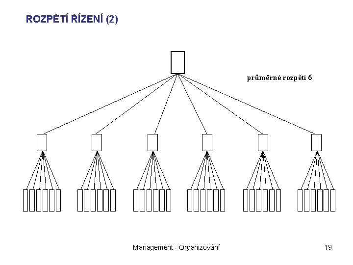 ROZPĚTÍ ŘÍZENÍ (2) průměrné rozpětí 6 Management - Organizování 19 