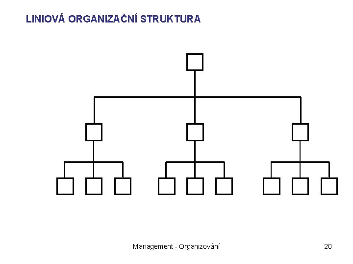 LINIOVÁ ORGANIZAČNÍ STRUKTURA Management - Organizování 20 