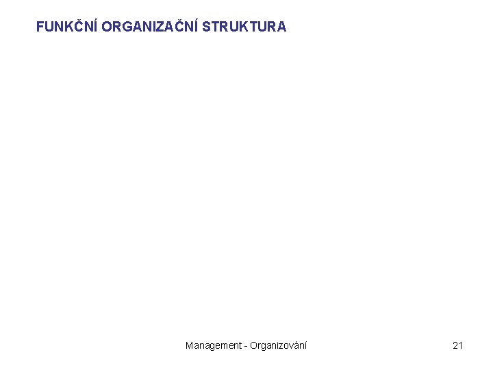 FUNKČNÍ ORGANIZAČNÍ STRUKTURA Management - Organizování 21 