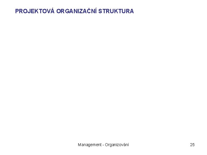 PROJEKTOVÁ ORGANIZAČNÍ STRUKTURA Management - Organizování 25 