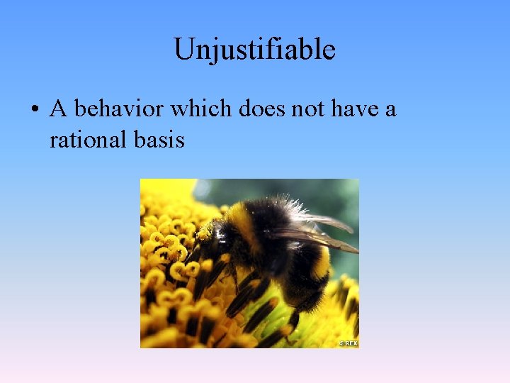 Unjustifiable • A behavior which does not have a rational basis 