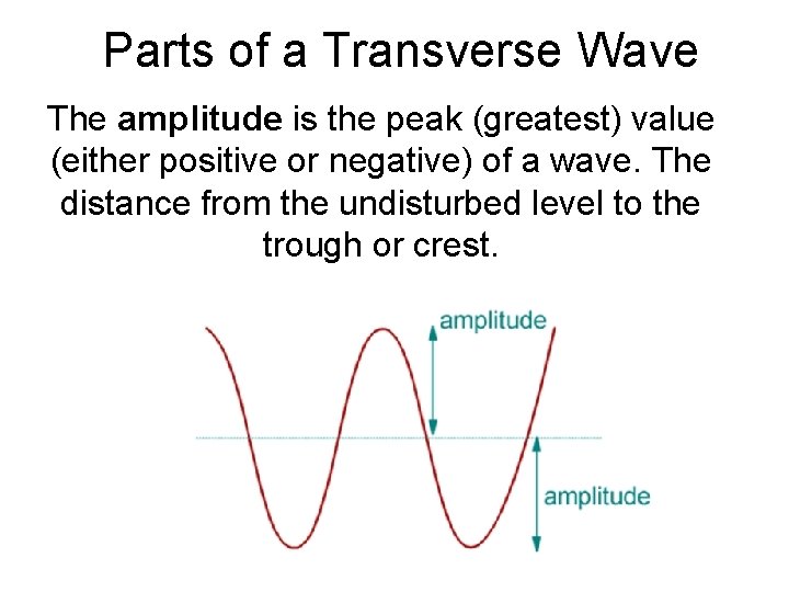 Parts of a Transverse Wave The amplitude is the peak (greatest) value (either positive