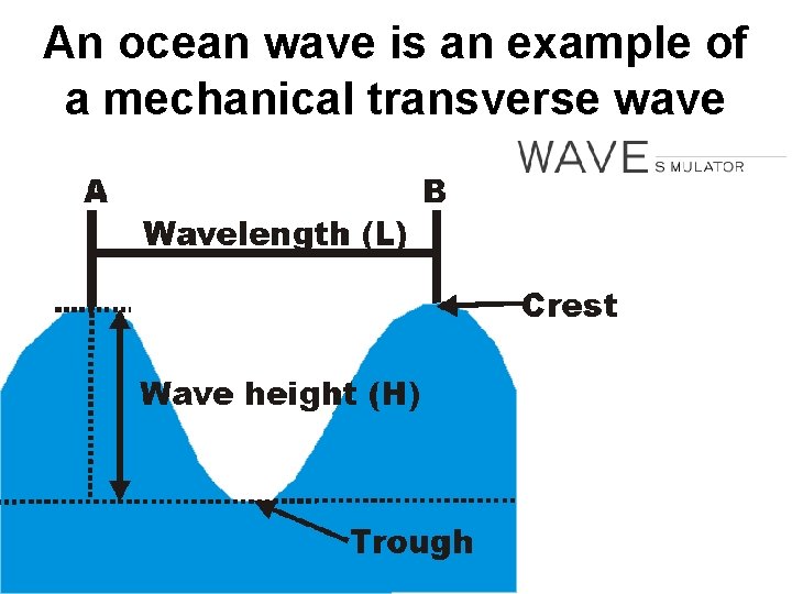 An ocean wave is an example of a mechanical transverse wave 