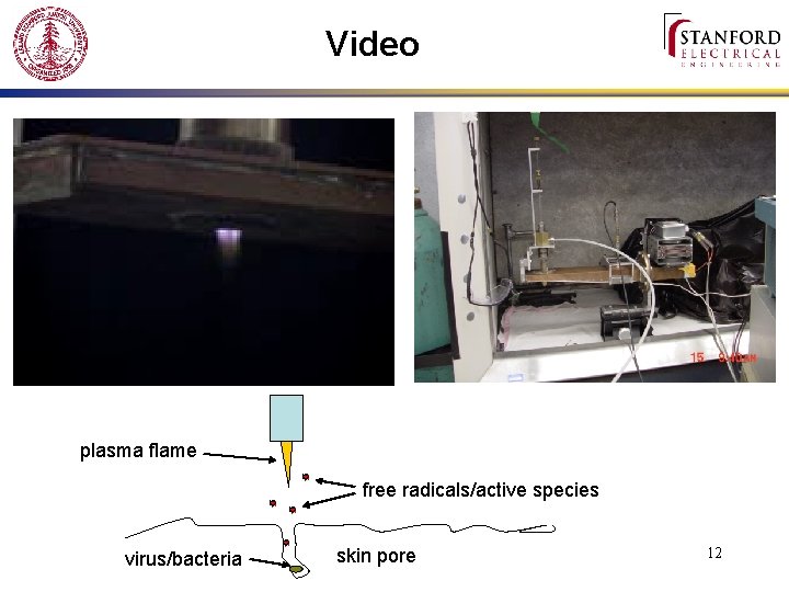 Video plasma flame free radicals/active species virus/bacteria skin pore 12 