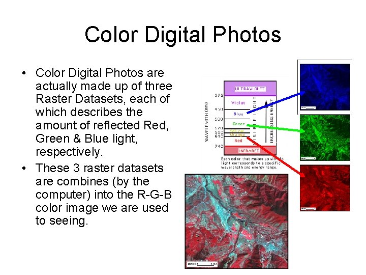 Color Digital Photos • Color Digital Photos are actually made up of three Raster Color Digital Photos • Color Digital Photos are actually made up of three Raster