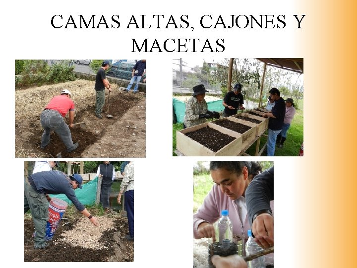 CAMAS ALTAS, CAJONES Y MACETAS 