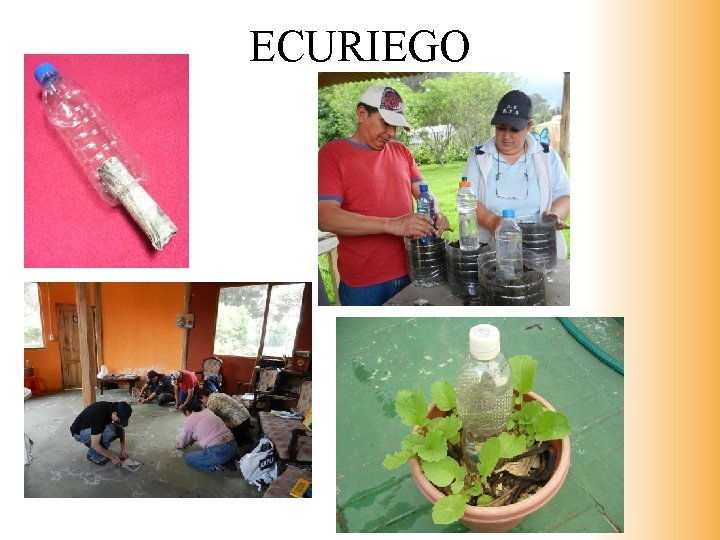 ECURIEGO 