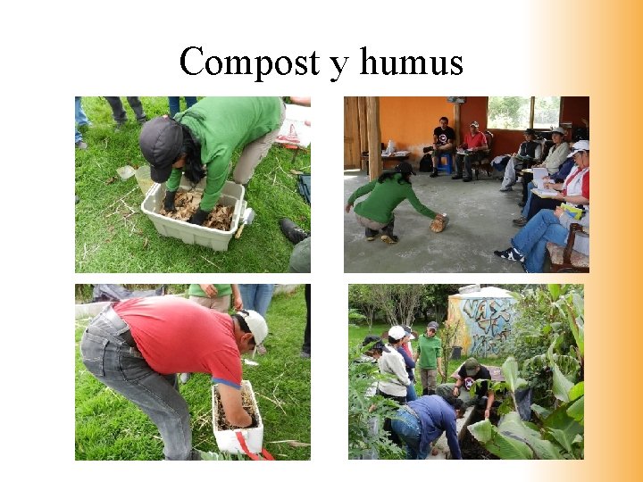 Compost y humus 