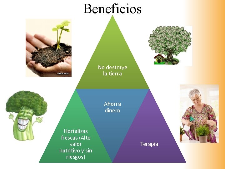 Beneficios No destruye la tierra Ahorra dinero Hortalizas frescas (Alto valor nutritivo y sin