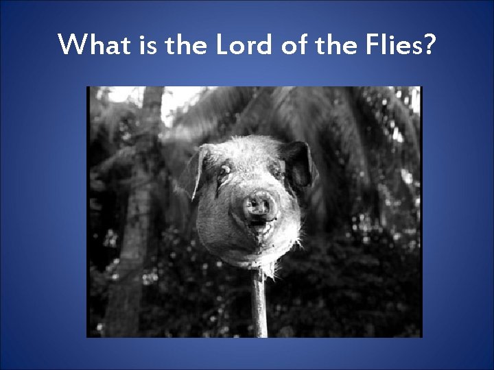 What is the Lord of the Flies? 