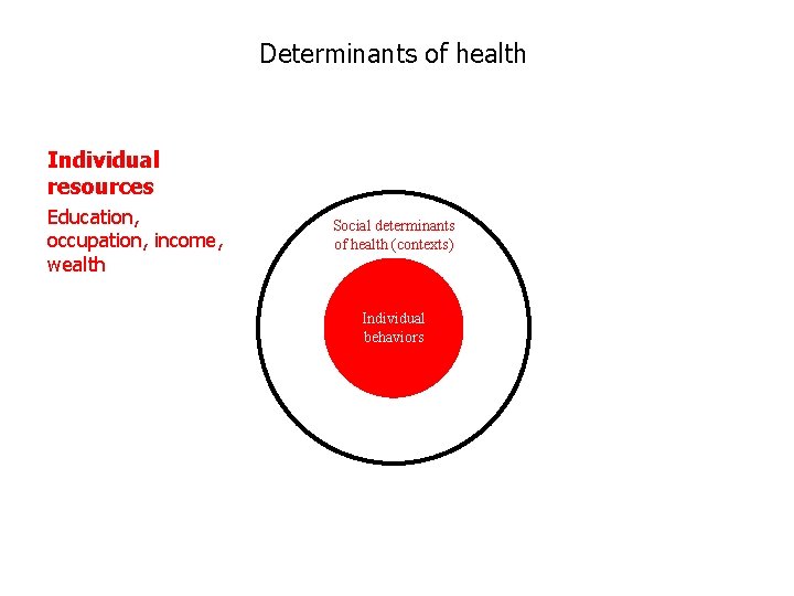 Determinants of health Individual resources Education, occupation, income, wealth Social determinants of health (contexts)
