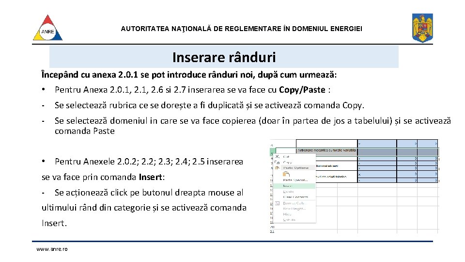 AUTORITATEA NAŢIONALĂ DE REGLEMENTARE ÎN DOMENIUL ENERGIEI Inserare rânduri Începând cu anexa 2. 0.