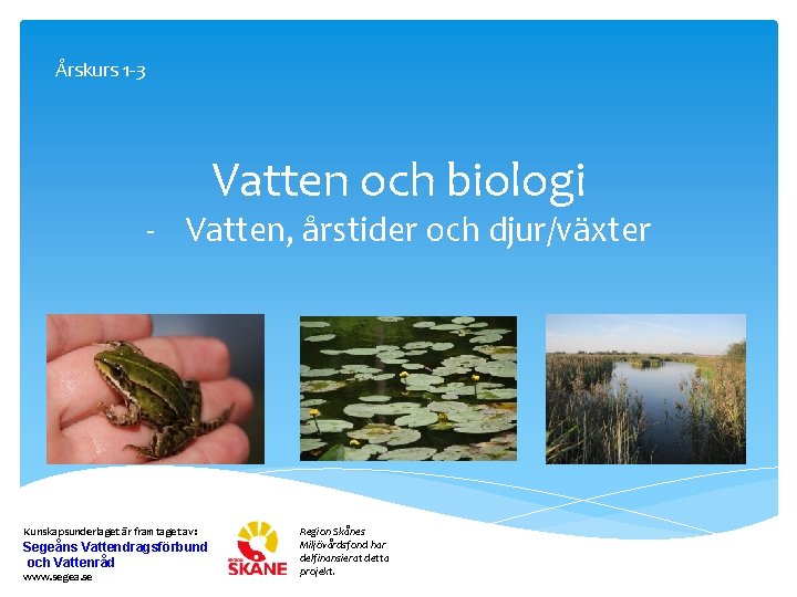 Årskurs 1 -3 Vatten och biologi - Vatten, årstider och djur/växter Kunskapsunderlaget är framtaget