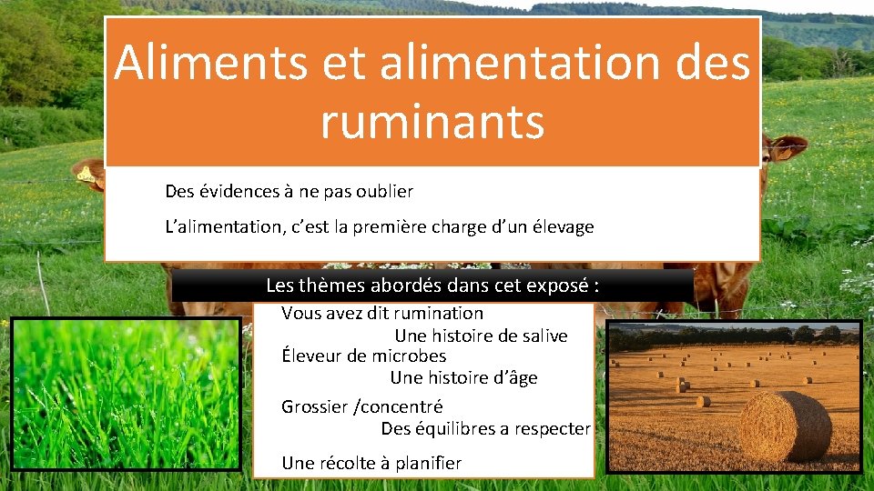 Aliments et alimentation des ruminants Des évidences à ne pas oublier L’alimentation, c’est la