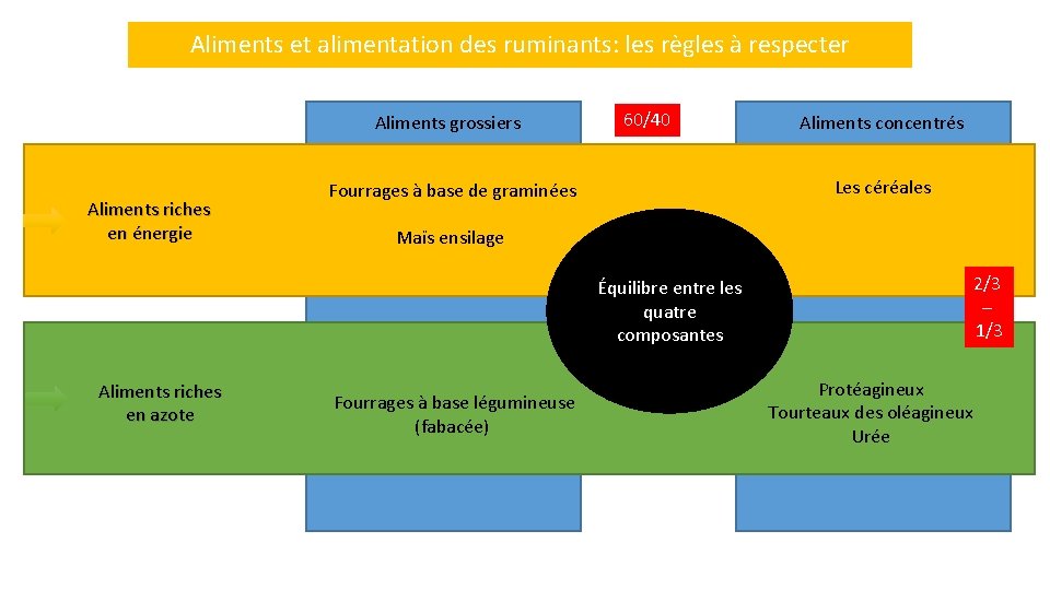 Aliments et alimentation des ruminants: les règles à respecter Aliments grossiers Aliments riches en