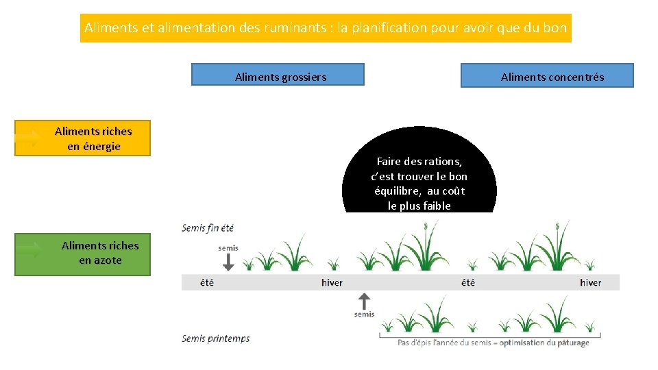 Aliments et alimentation des ruminants : la planification pour avoir que du bon Aliments