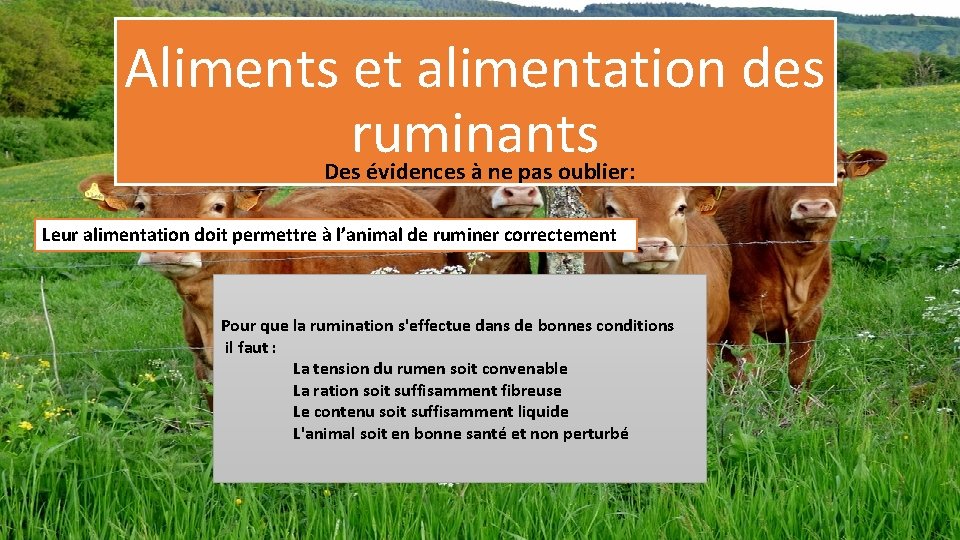 Aliments et alimentation des ruminants Des évidences à ne pas oublier: Leur alimentation doit